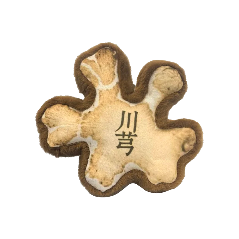 OEM Custom Traditional Chinese Medicine Educational Toys Herbal Medicine-Shaped Plush Dolls Cotton Gift