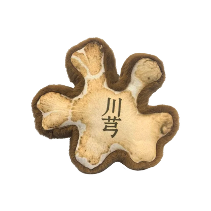 OEM Custom Traditional Chinese Medicine Educational Toys Herbal Medicine-Shaped Plush Dolls Cotton Gift