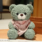 25cm High Quality Factory Wholesale Teddy Bear Series Multiple Kinds of Teddy Bears with Silk Scarves