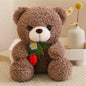 25cm High Quality Factory Wholesale Teddy Bear Series Multiple Kinds of Teddy Bears with Silk Scarves