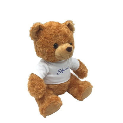 Plush Toy Manufacturers Support Customization Low MOQ High-quality Cute Teddy Bear Plush Toys Custom Logo 1 Piece Custom Sizes