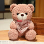 25cm High Quality Factory Wholesale Teddy Bear Series Multiple Kinds of Teddy Bears with Silk Scarves
