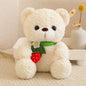 25cm High Quality Factory Wholesale Teddy Bear Series Multiple Kinds of Teddy Bears with Silk Scarves